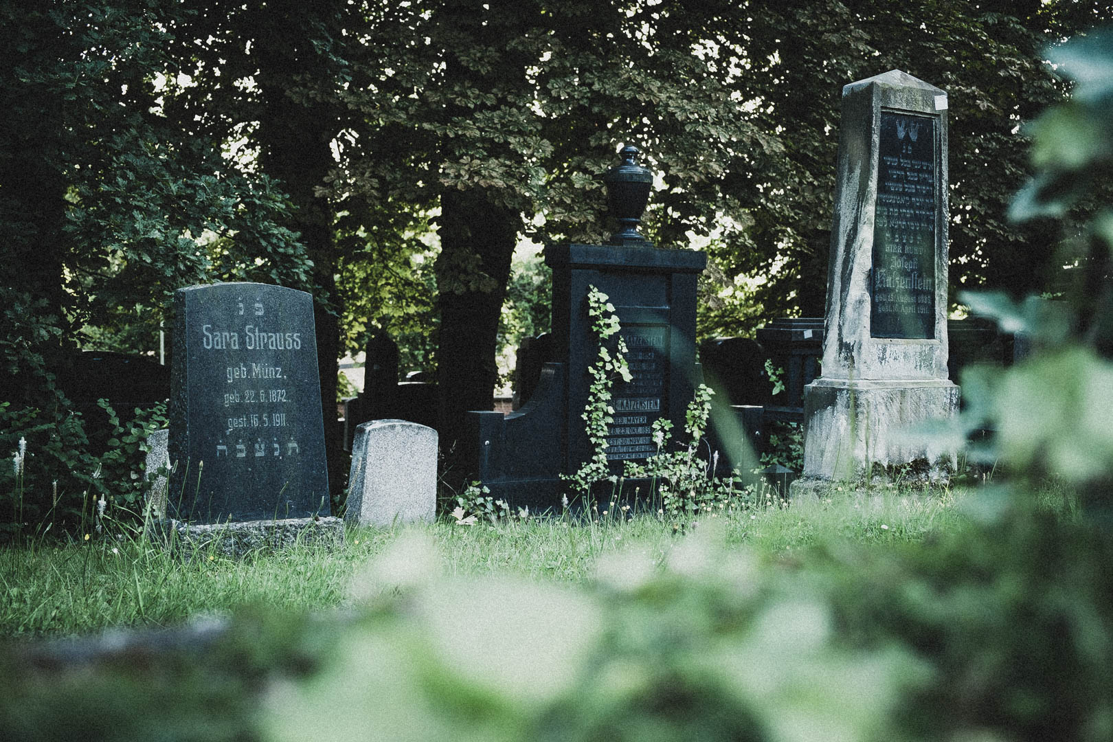 Jüdischer Friedhof Kassel-Bettenhausen